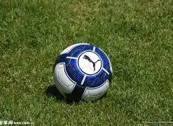 灰熊杰克逊,静谧之夜秀,准者战靴风,英皇娱乐,英皇娱乐官网