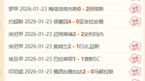 瓦勒伦加大胜维京，两连胜专家质合分析前区十码